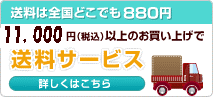 送料はどこでも800円